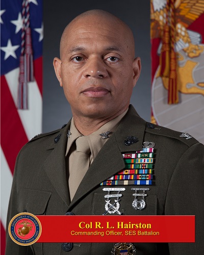 Colonel Reginald L. Hairston, SES Commanding Officer
